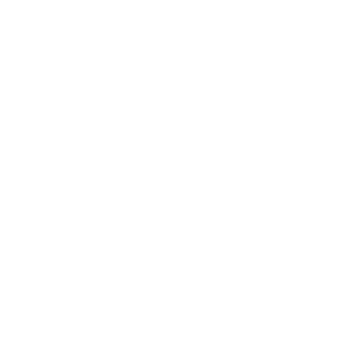 footer logo kispi ball